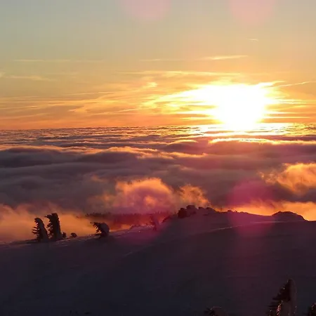 Waldblick بيت ضيافة