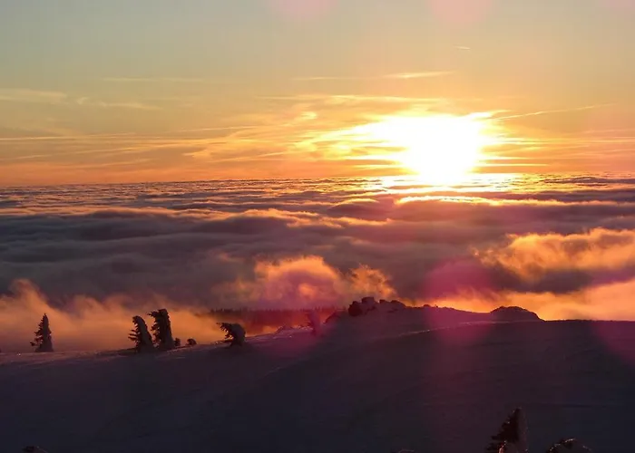 Waldblick بيت ضيافة