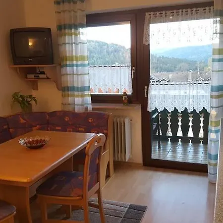 Waldblick Guest house *